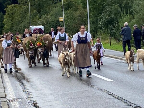 Alpabfahrt im Entlebuch 01