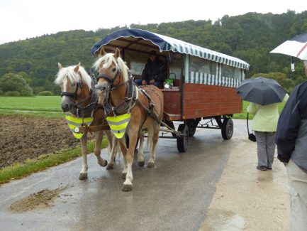 Die Pferde stehen bereit