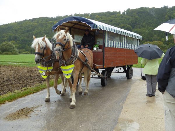 Die Pferde stehen bereit