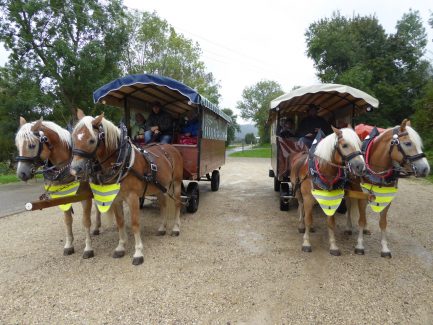 Unsere zwei Fuhrwerke