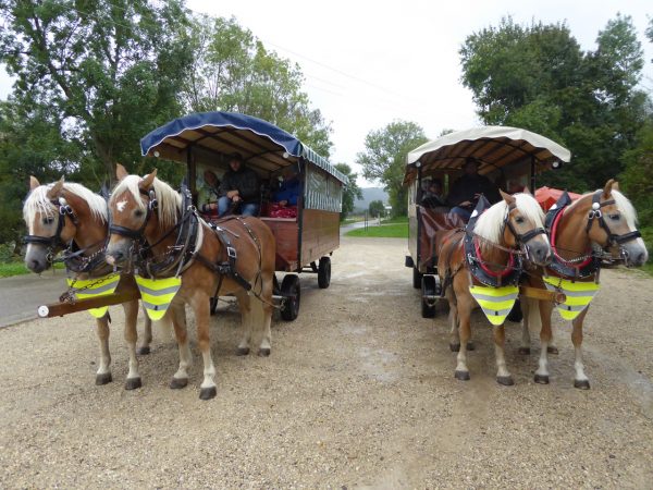 Unsere zwei Fuhrwerke
