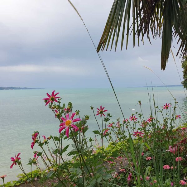 Insel Mainau 2023 04