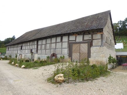 Bergtrotte Osterfingen