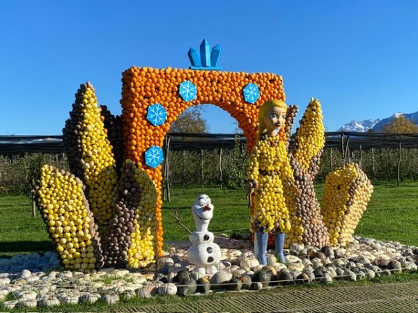 Kürbisse und Metzgete 06