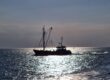 Nordholland 23