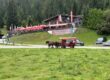 Tirol 2025 12