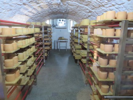 Gestapelte Käselaibe