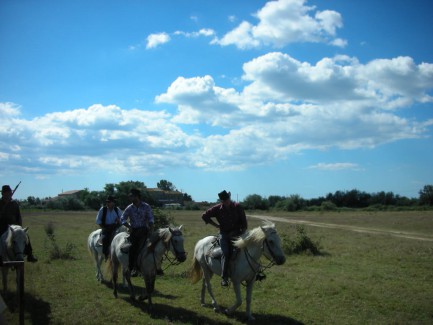 Camargue, Reiter auf weissen Pferden