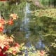 Teich im Seleger Moor